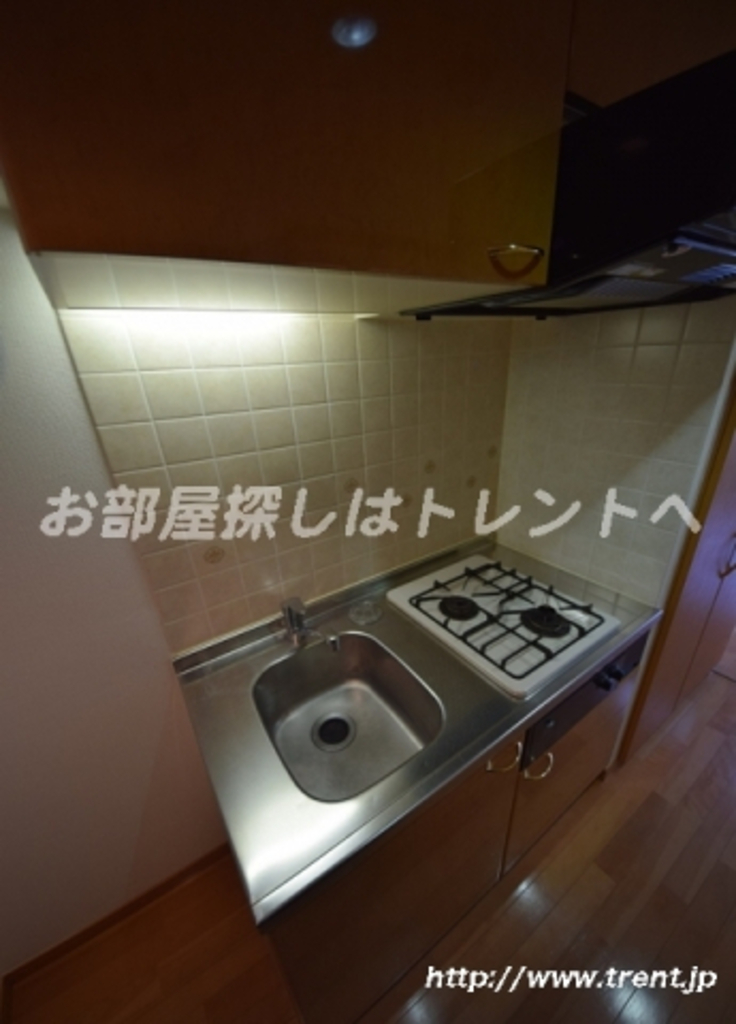 ルーブル早稲田-306