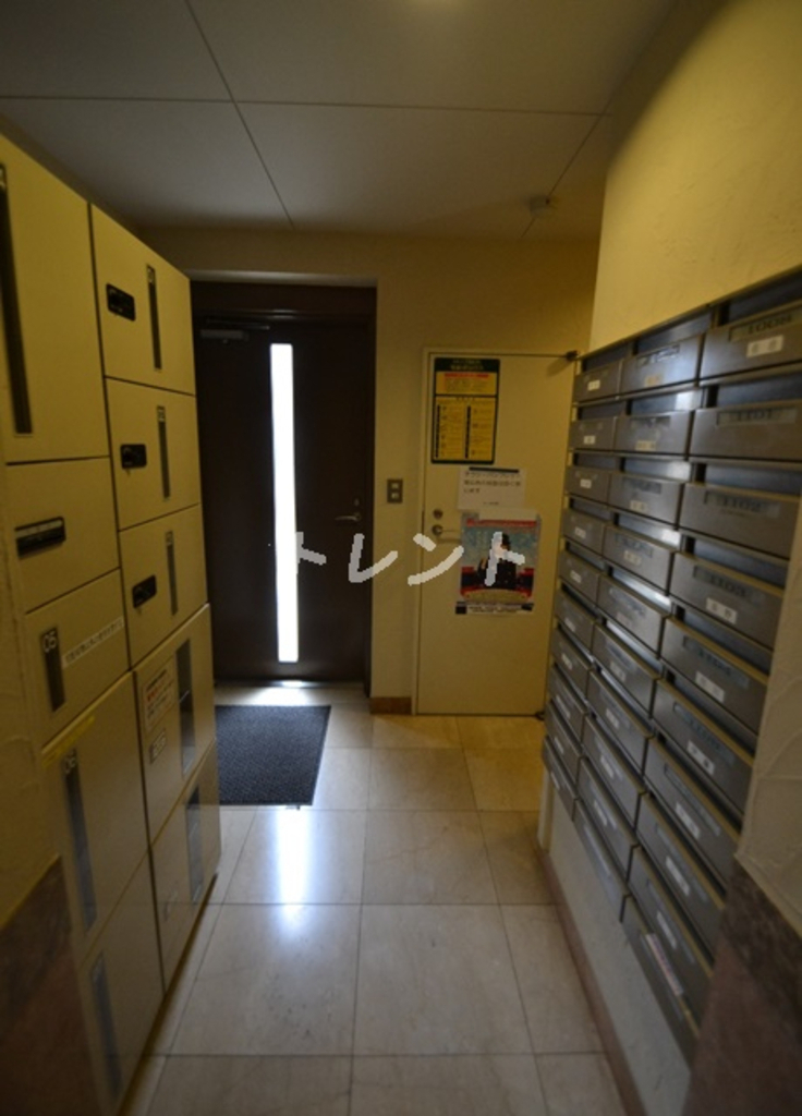 ケーズ新中野【K'S新中野】-1103