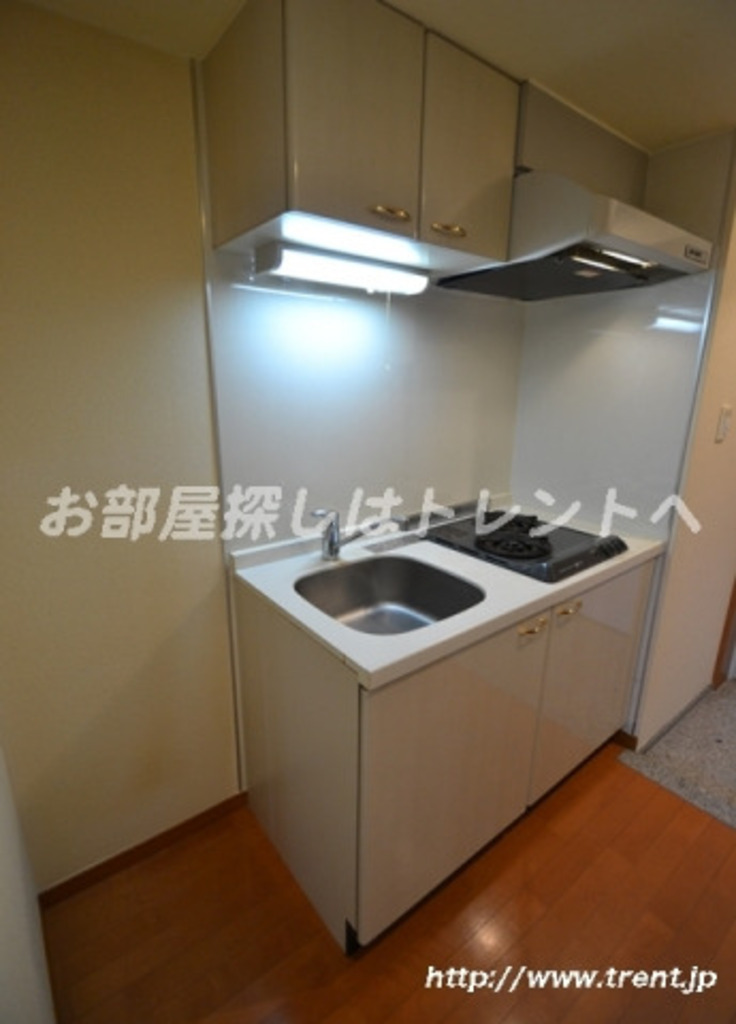 スカイコート代々木-203