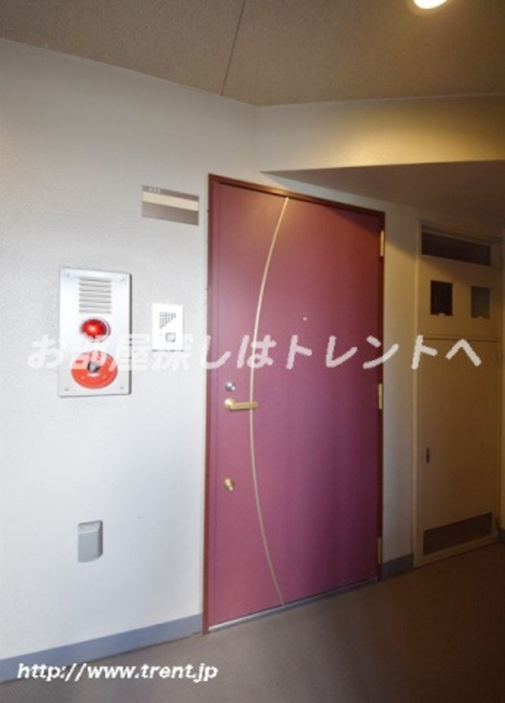 フォルトゥナ春日安藤坂-301