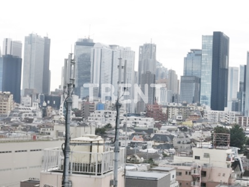 ベジフル北新宿弐番館-304