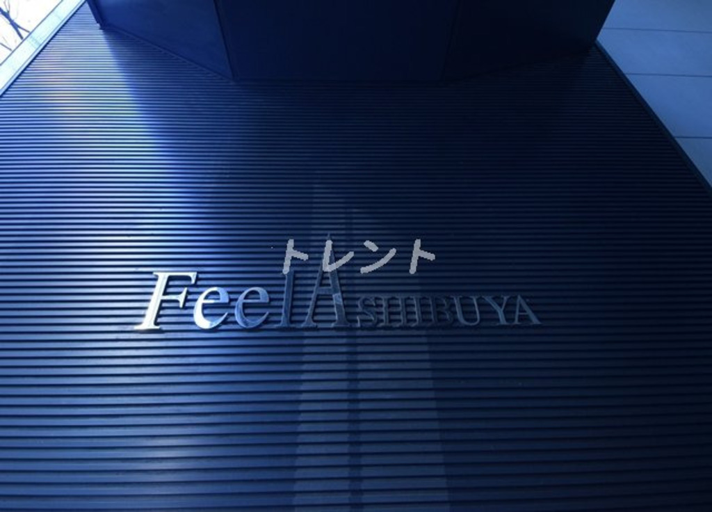 フィールA渋谷-216