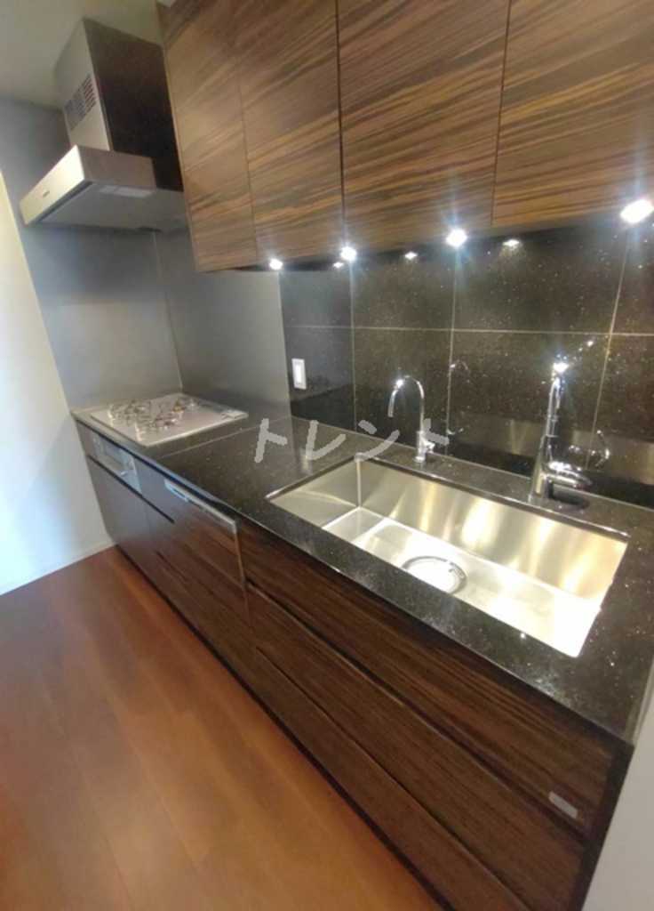 ザパークハウス代々木上原-304