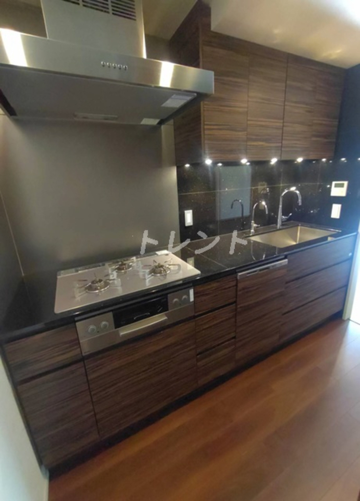 ザパークハウス代々木上原-304