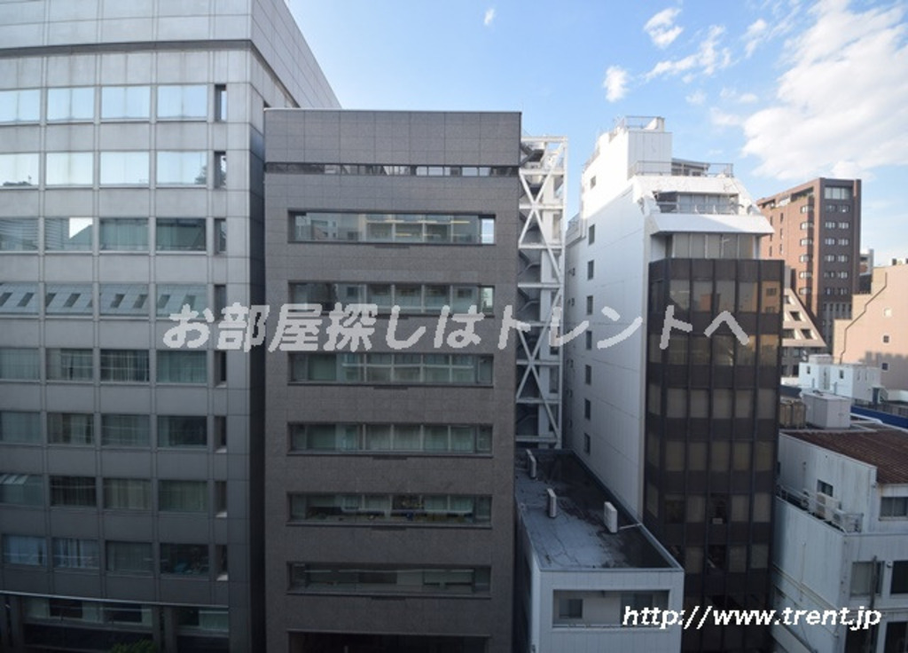 エルスタンザ平河町-701