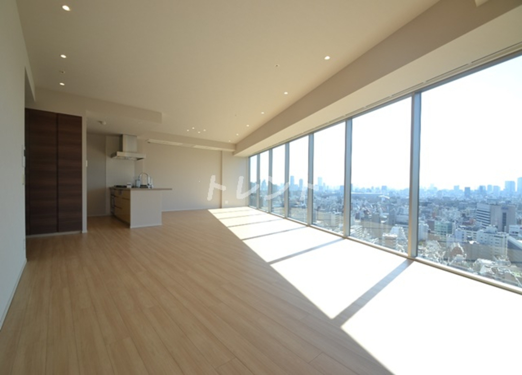 コンフォリア新宿イーストサイドタワー-713