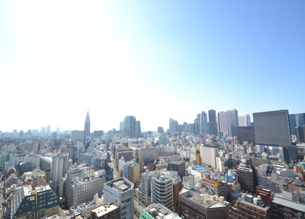 コンフォリア新宿イーストサイドタワー-713