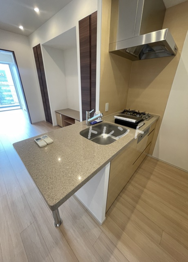 コンフォリア新宿イーストサイドタワー-1103