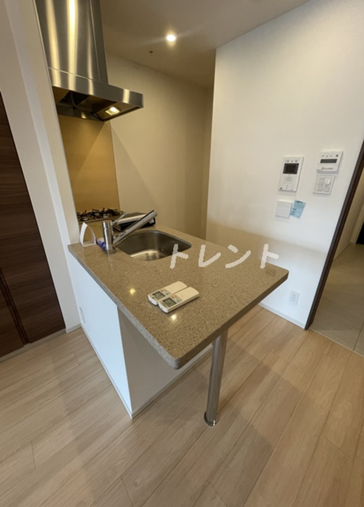 コンフォリア新宿イーストサイドタワー-1103