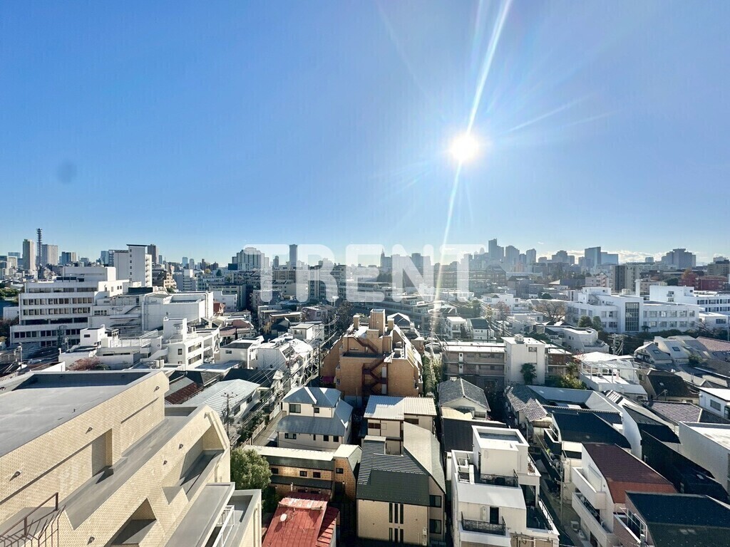 ヴィスタ西早稲田-701