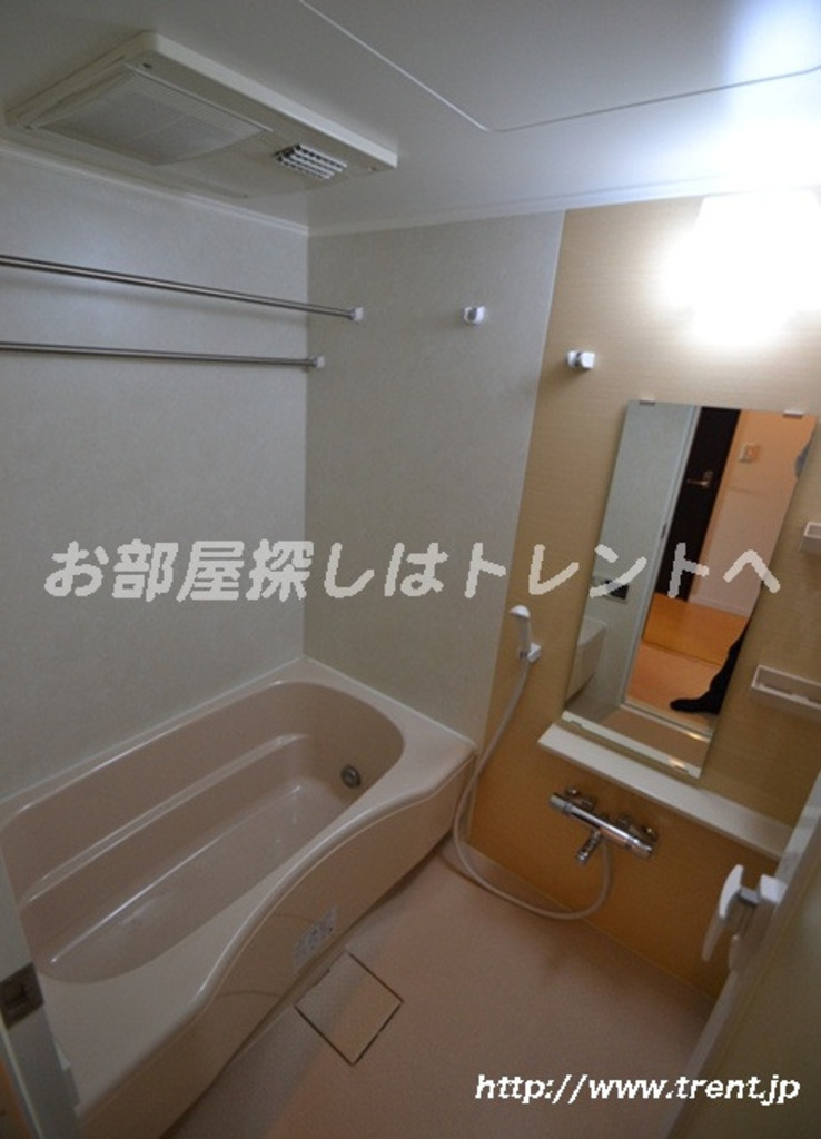 スターハイム-206