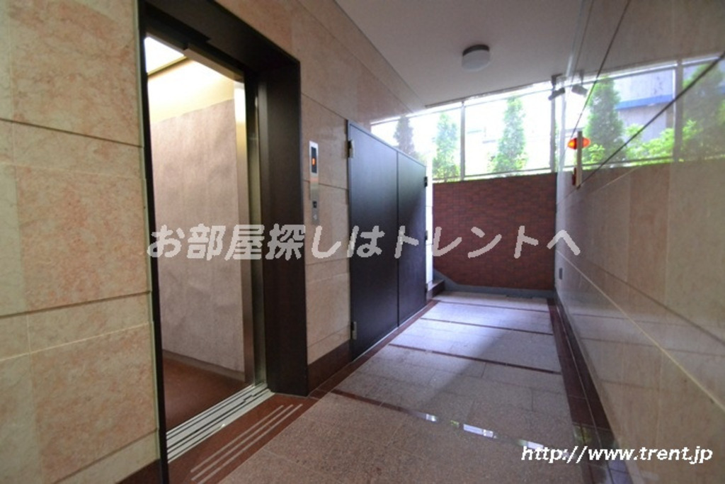 スターハイム-206