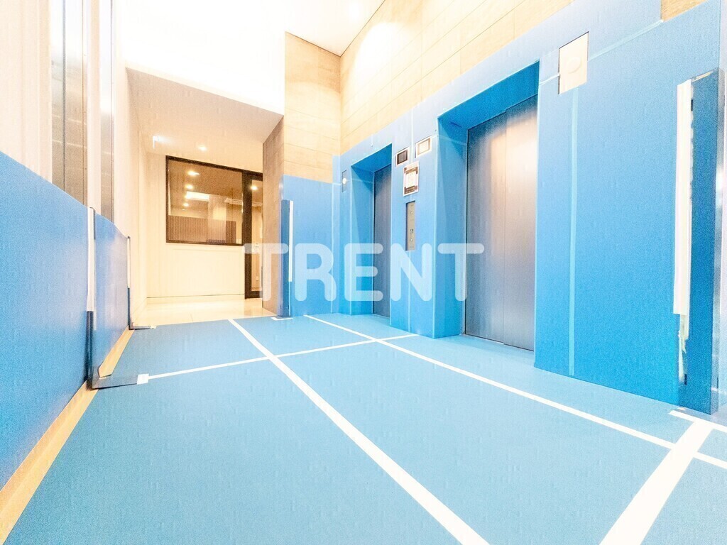 プリマステラ-1001