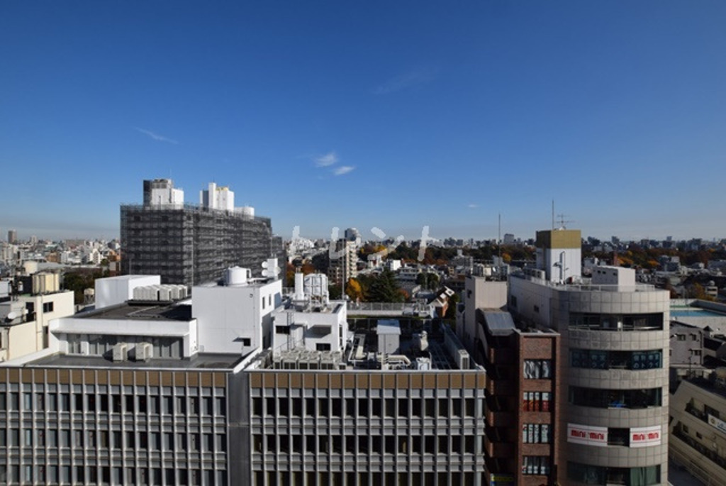 ステラメゾン茗荷谷-1204