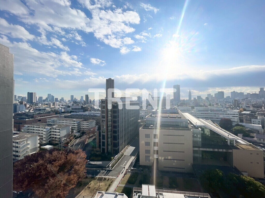 ルーツ新宿若松町-201