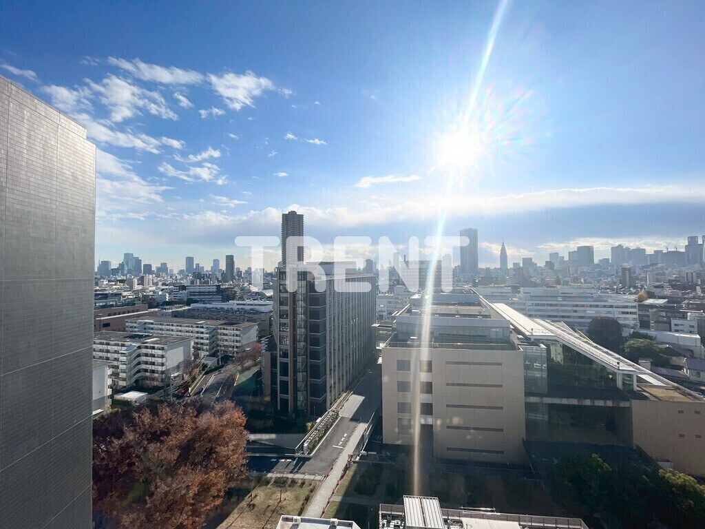 ルーツ新宿若松町-702