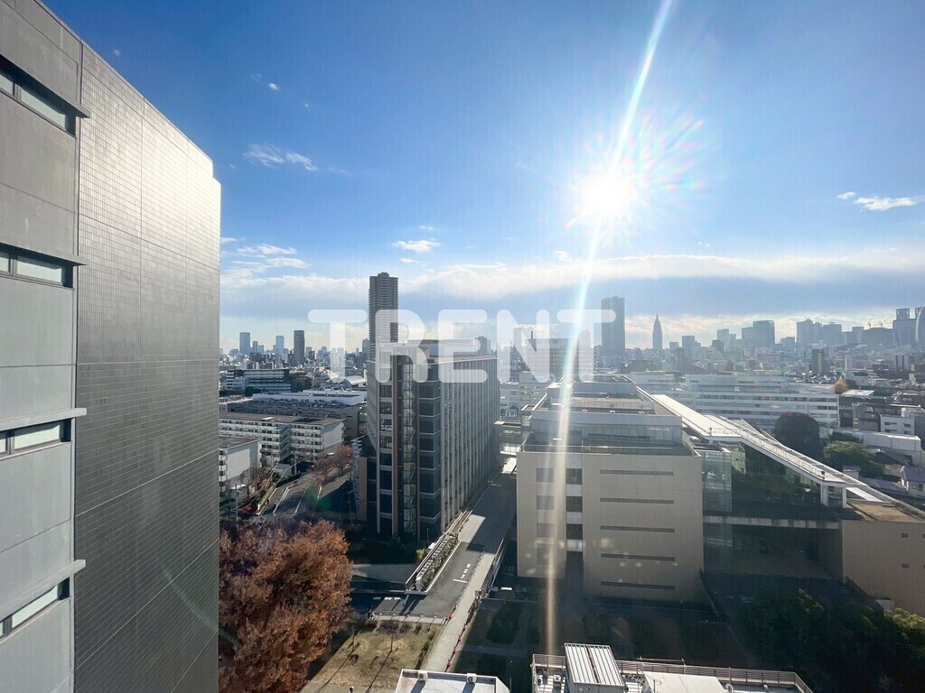 ルーツ新宿若松町-203