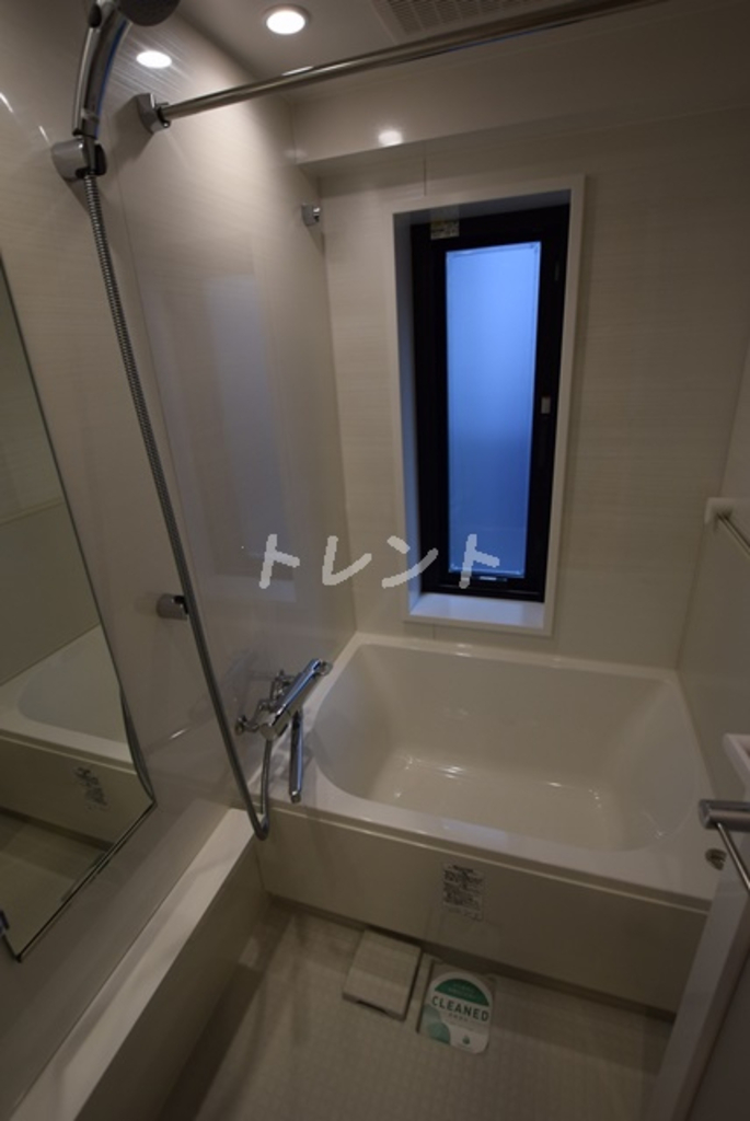 ライオンズ浅草橋ミレス-801