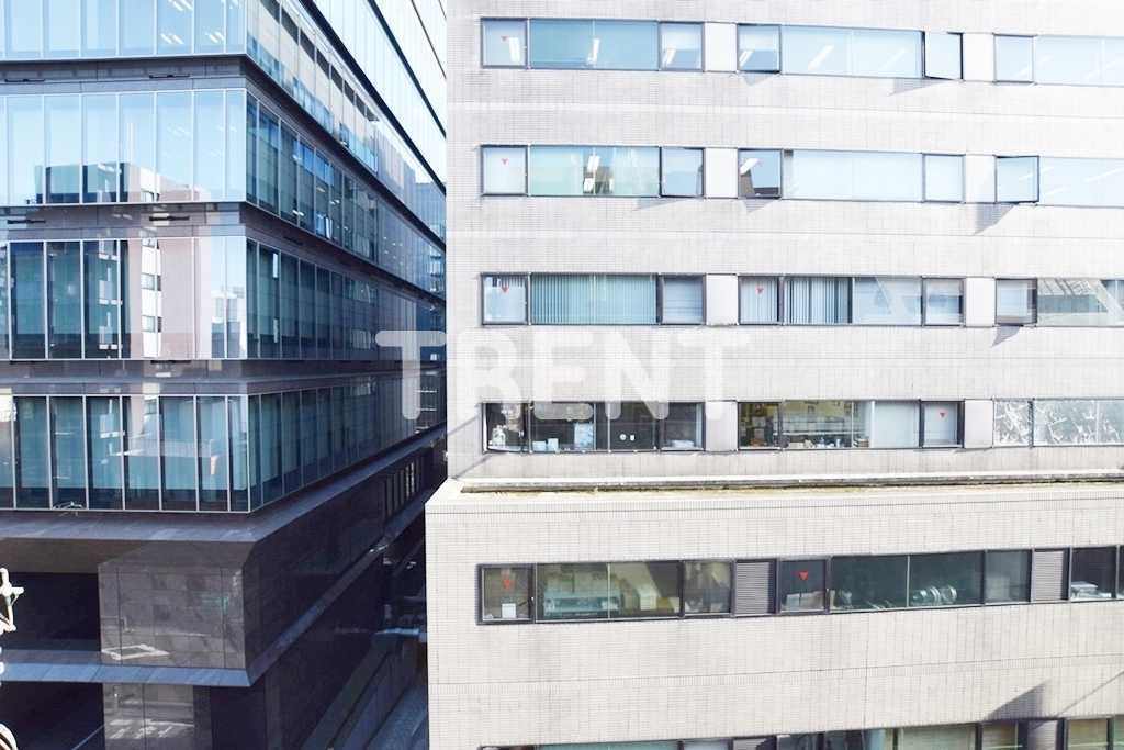 デュオスカーラ麹町-303