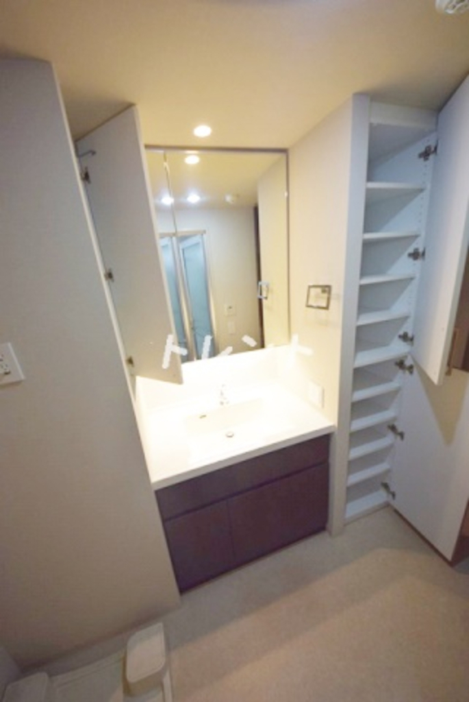 コスモリード市ヶ谷払方町-206