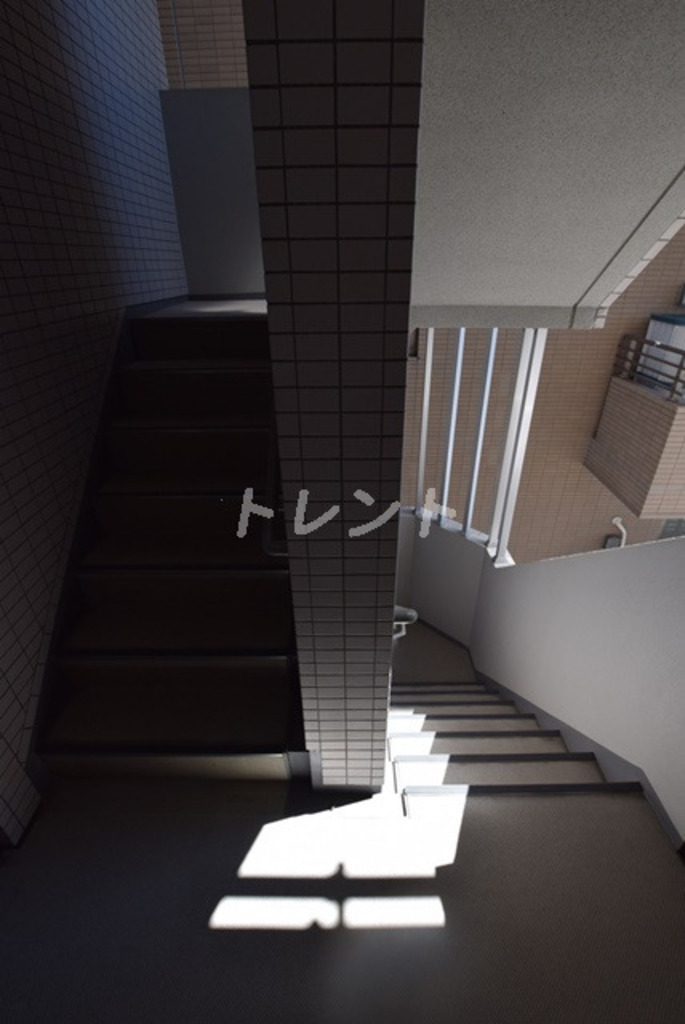 シーネクス本駒込-1203