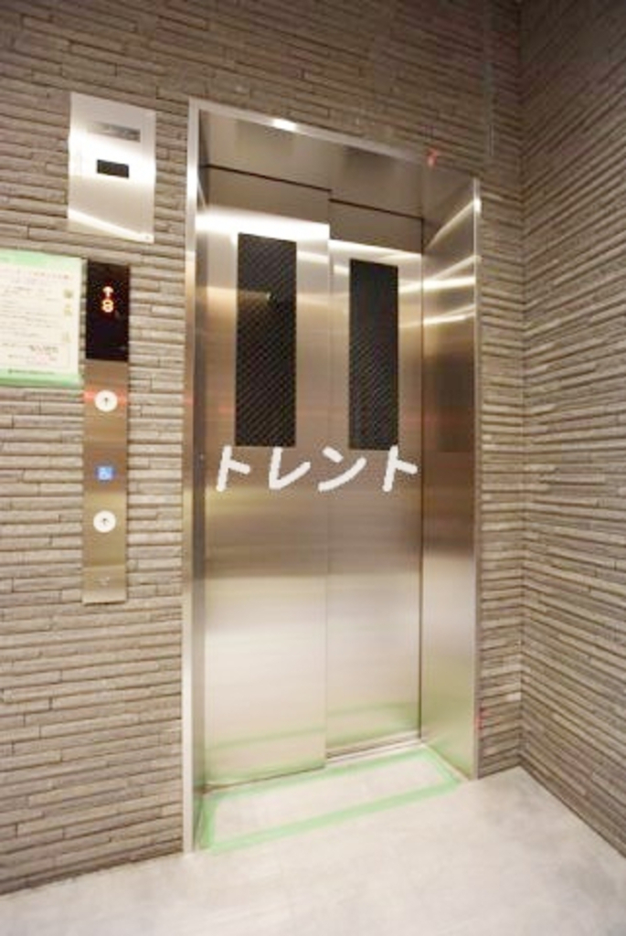 アッパーフィールドウッド【UPPER FIELD WOOD】-305