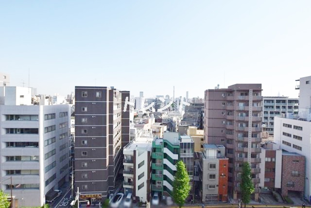 アッパーフィールドウッド【UPPER FIELD WOOD】-305