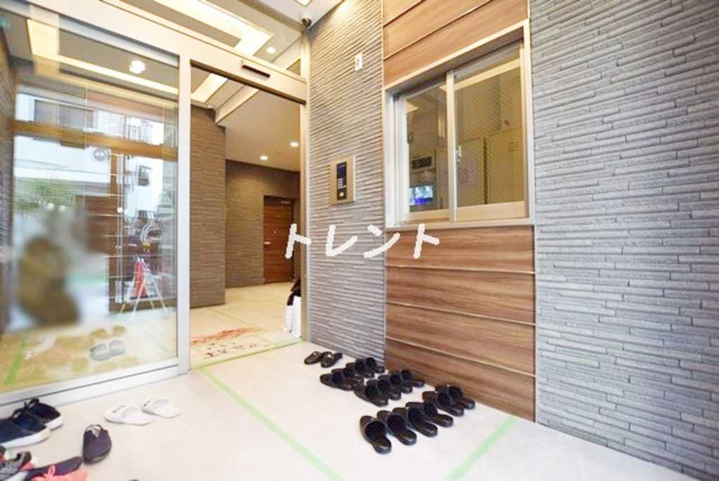 アッパーフィールドウッド【UPPER FIELD WOOD】-305