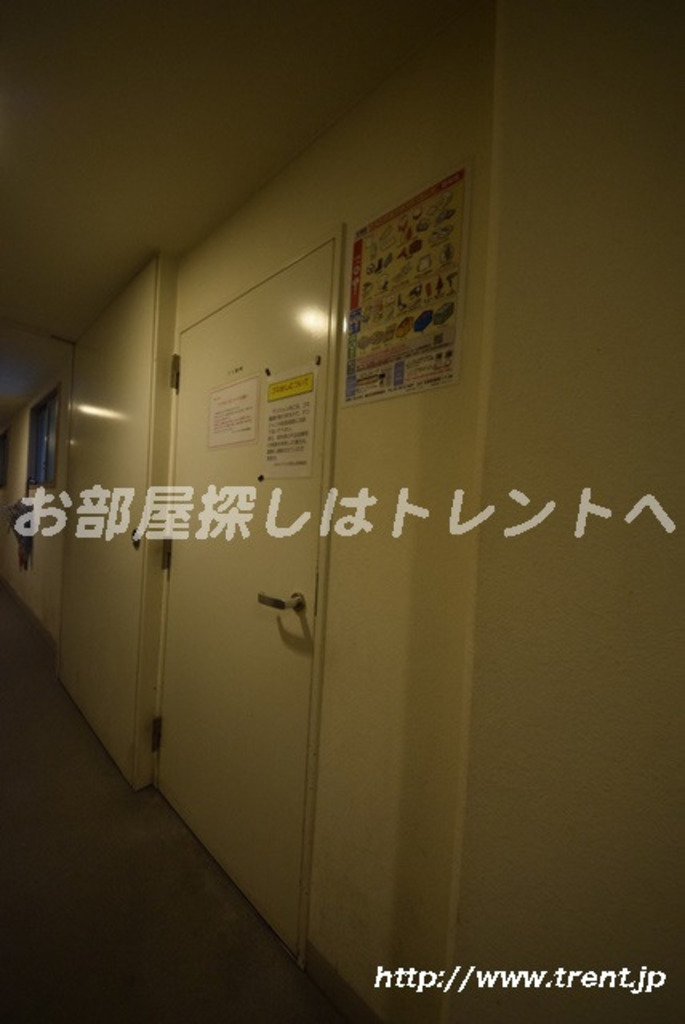 ユナイテッドグロー文京白山-206