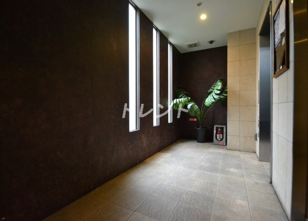 ココロ【KOKORO】-705