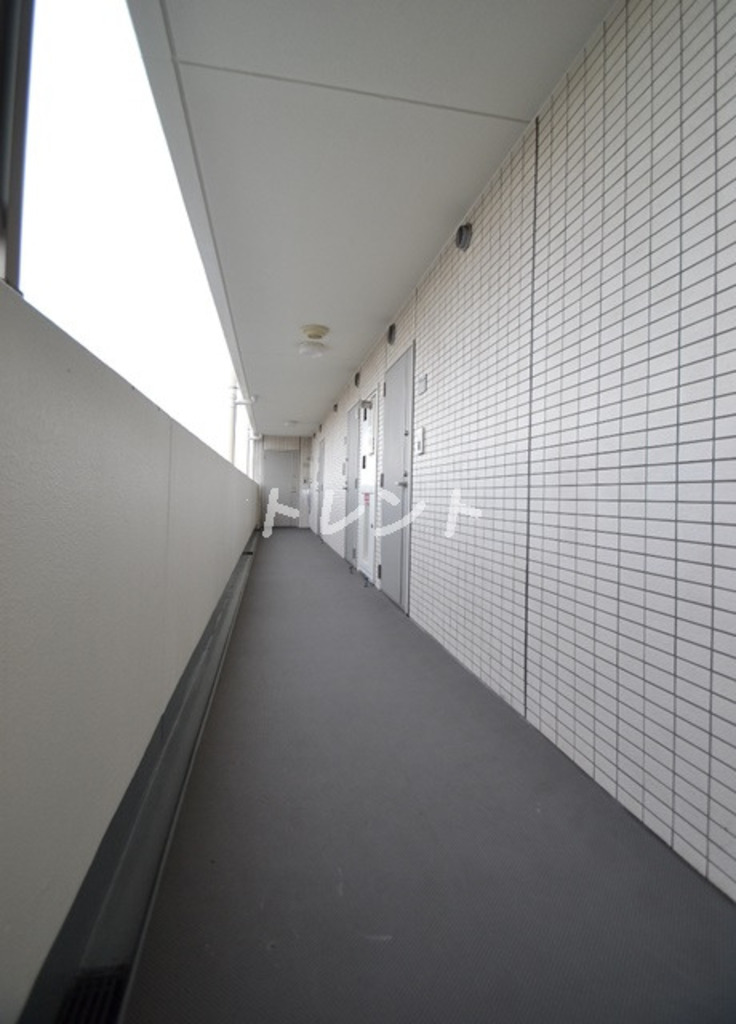 ココロ【KOKORO】-705