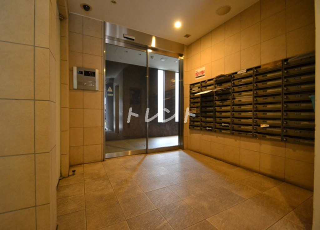 ココロ【KOKORO】-705