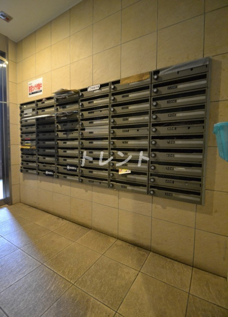 ココロ【KOKORO】-705