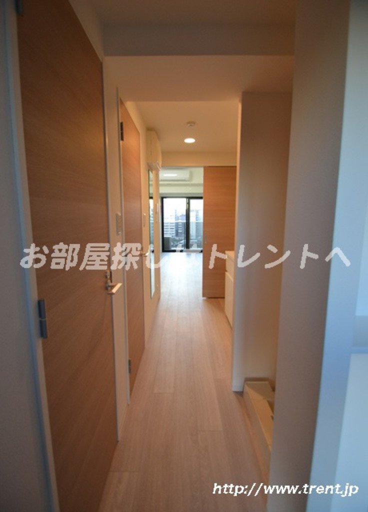 ズーム新宿南セカンド【ZOOM新宿南Second】-1203