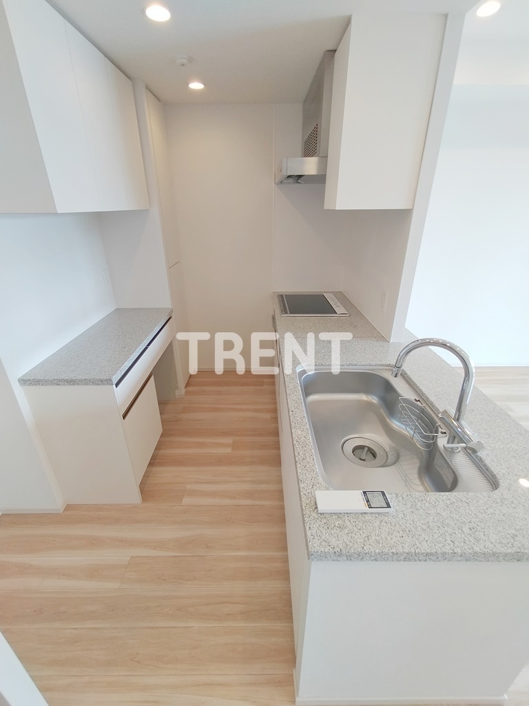 ザパークハウス西新宿タワー60-1407