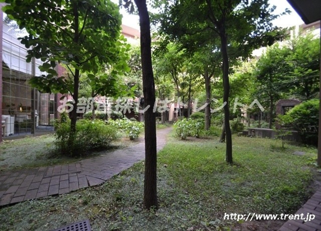 ファミールスクエア中野坂上-315