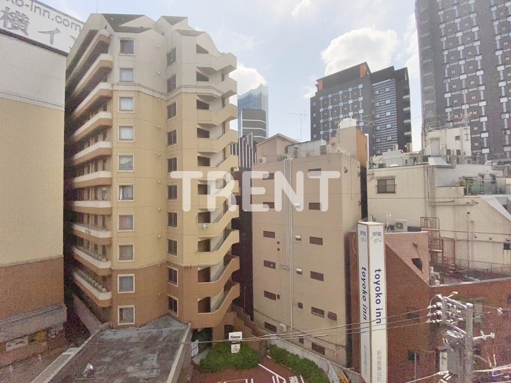 デュオスカーラ新宿Ⅱ-1002