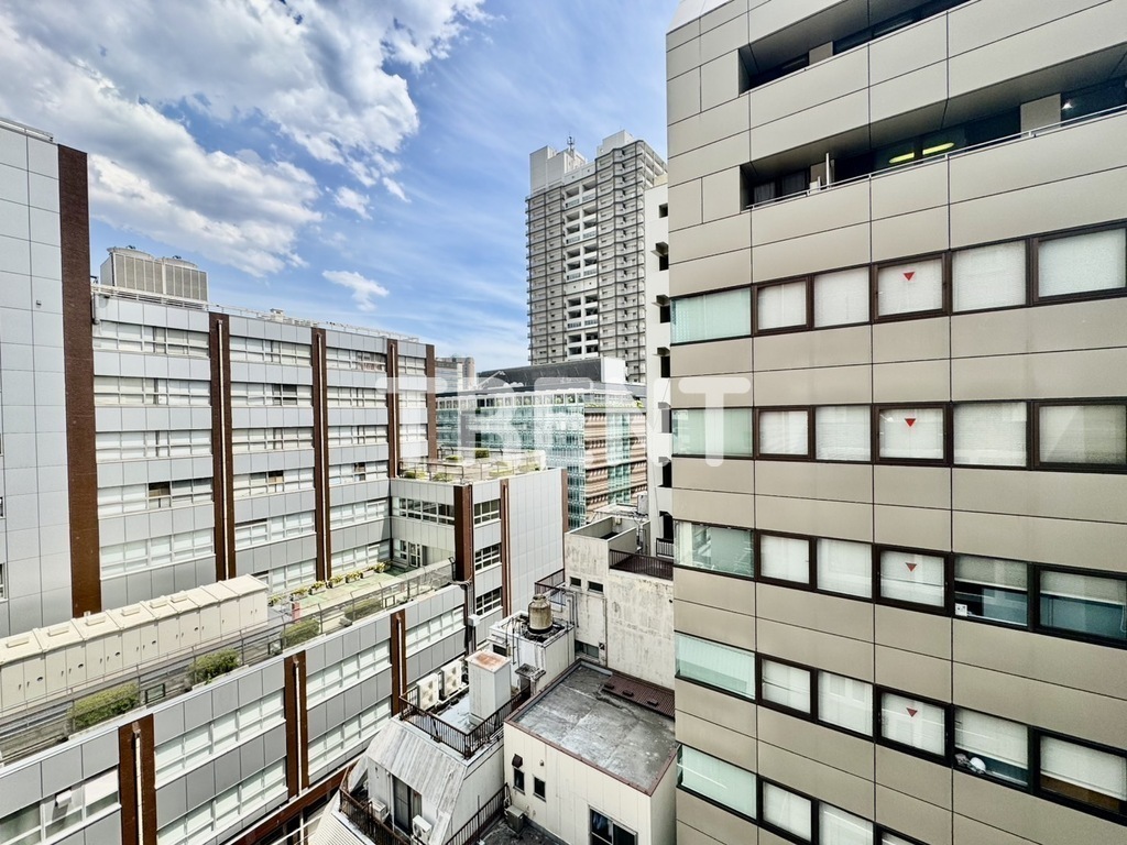 グランジット千代田水道橋【GRANSITE千代田水道橋】-301