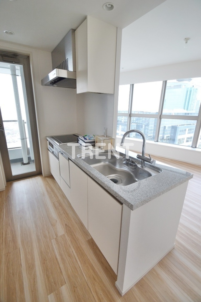 ザパークハウス西新宿タワー60-3112