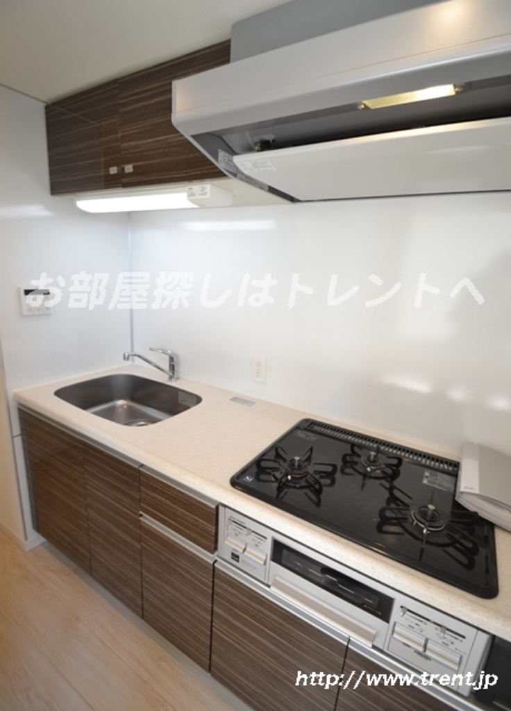 レアライズ新宿-8