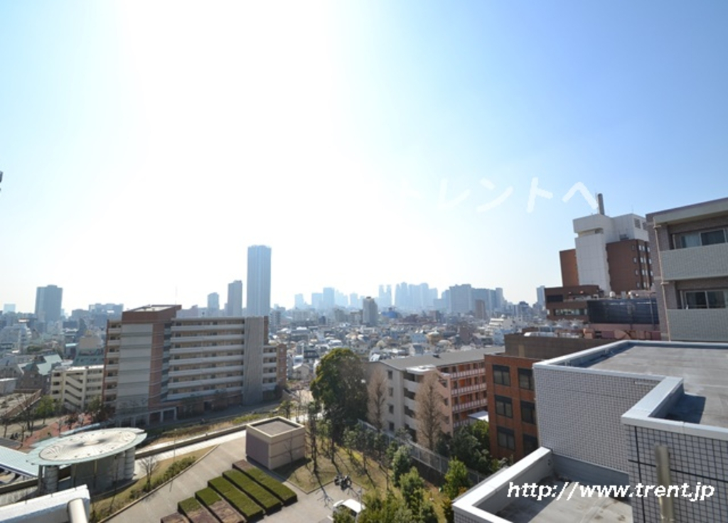 レアライズ新宿-8