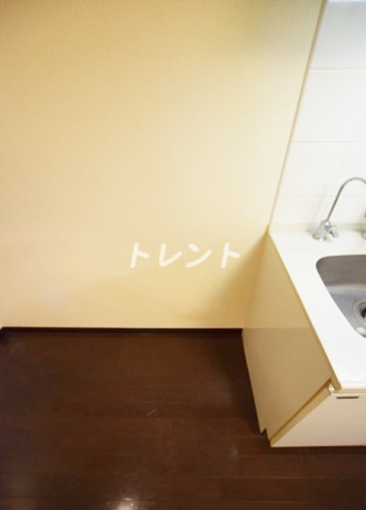 トーシンフェニックス江戸川橋-606