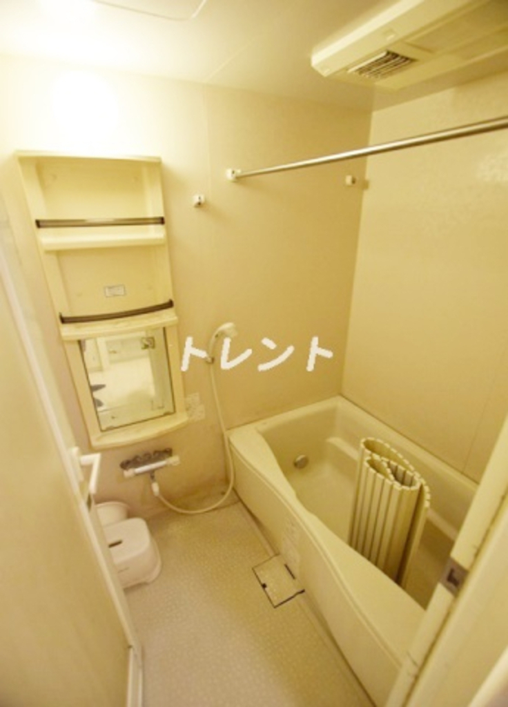 トーシンフェニックス江戸川橋-606