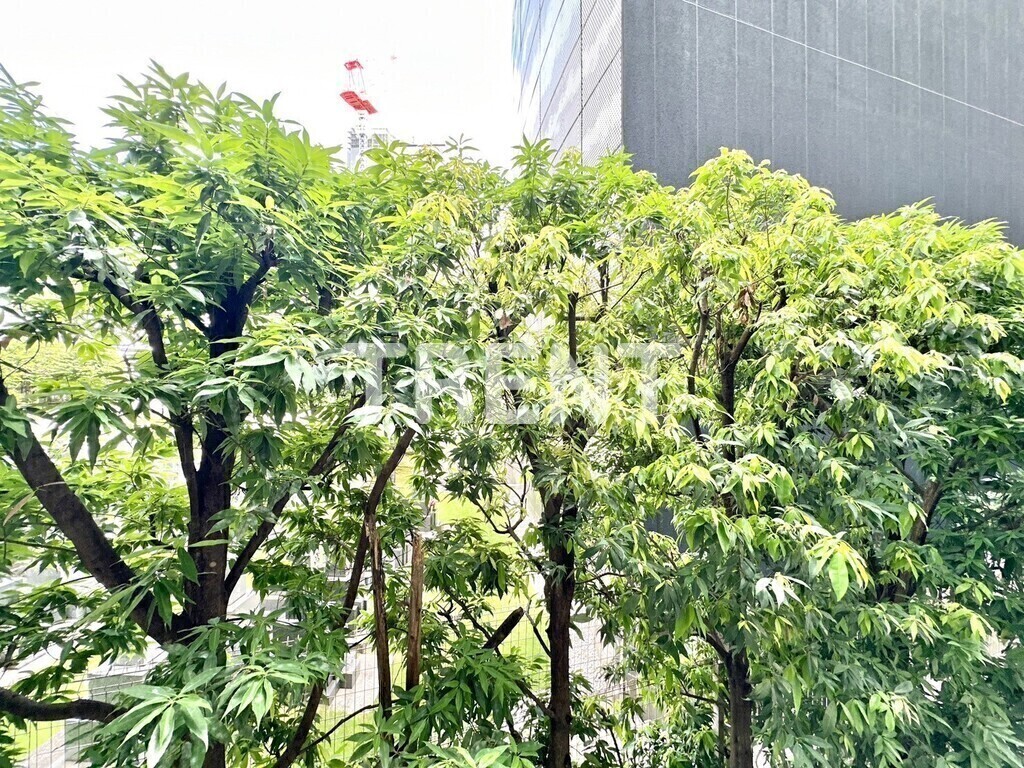 パークハビオ渋谷-601