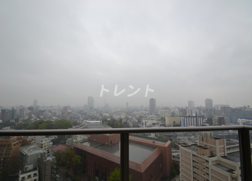 コンフォリア新宿イーストサイドタワー-2108