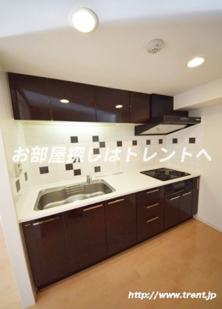 レジディア文京本郷Ⅱ-1303