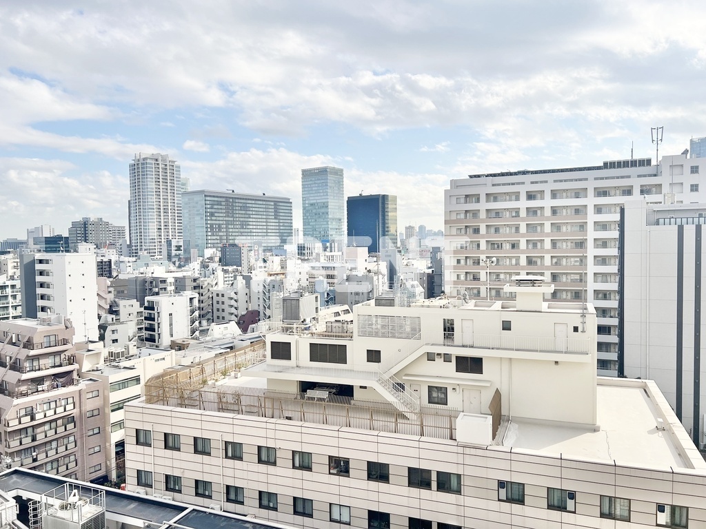 クラリティア文京湯島【CLARITIA文京湯島】-901