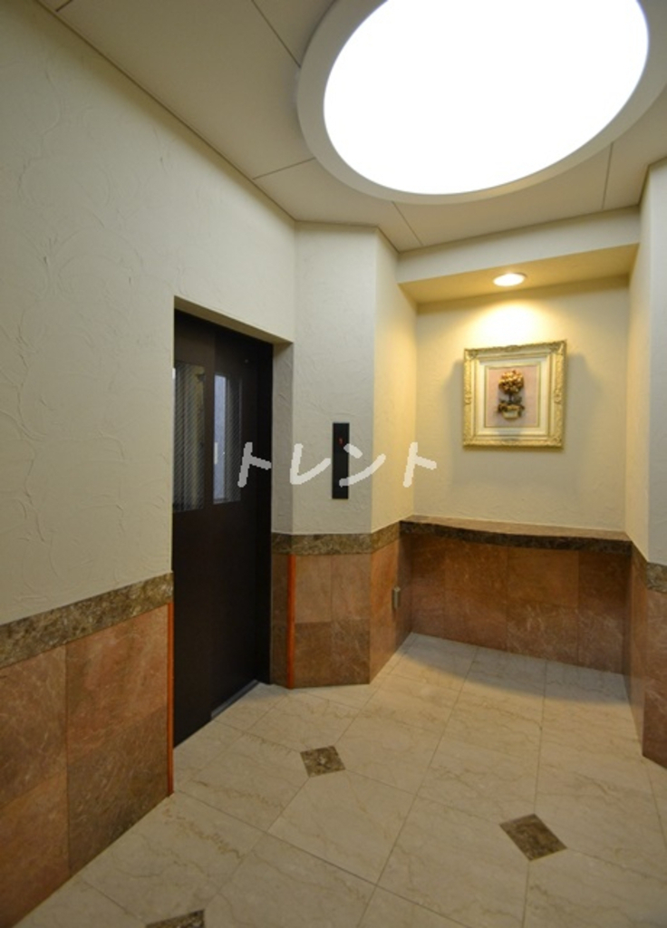 ケーズ新中野【K'S新中野】-903