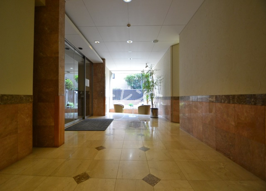 ケーズ新中野【K'S新中野】-903