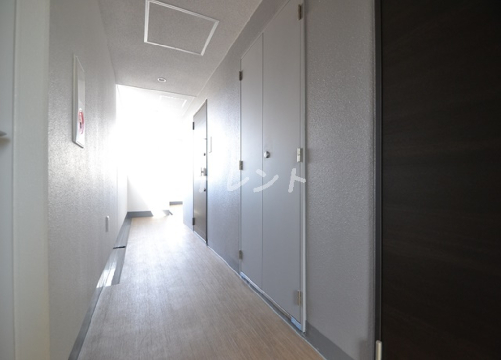 ライズ代々木Ⅲ-206